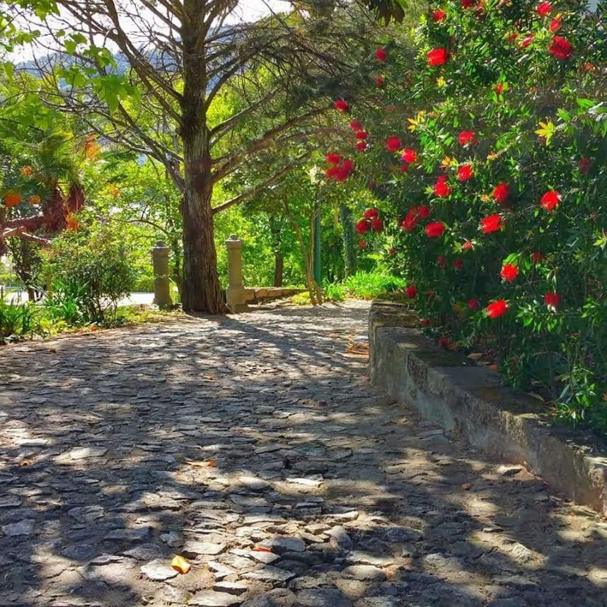바이아오 Quinta Da Ermida - Turismo De Habitacao B&B 외부 사진